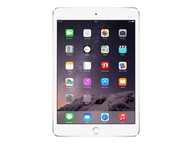 iPad 9.7 5th Gen (Wi-Fi + Cellular)